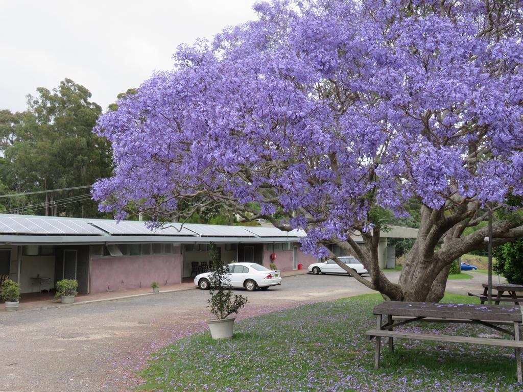 Ecotel Narooma North Narooma エクステリア 写真
